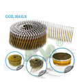 15 Degree Torx Head Nail Collated Screw